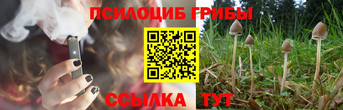 Псилоцибиновые грибы мухоморы  купить  цена  Южно-Сахалинск  Вход с VPN 